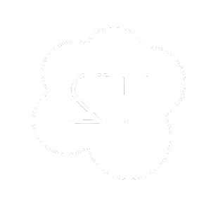 ST Logo